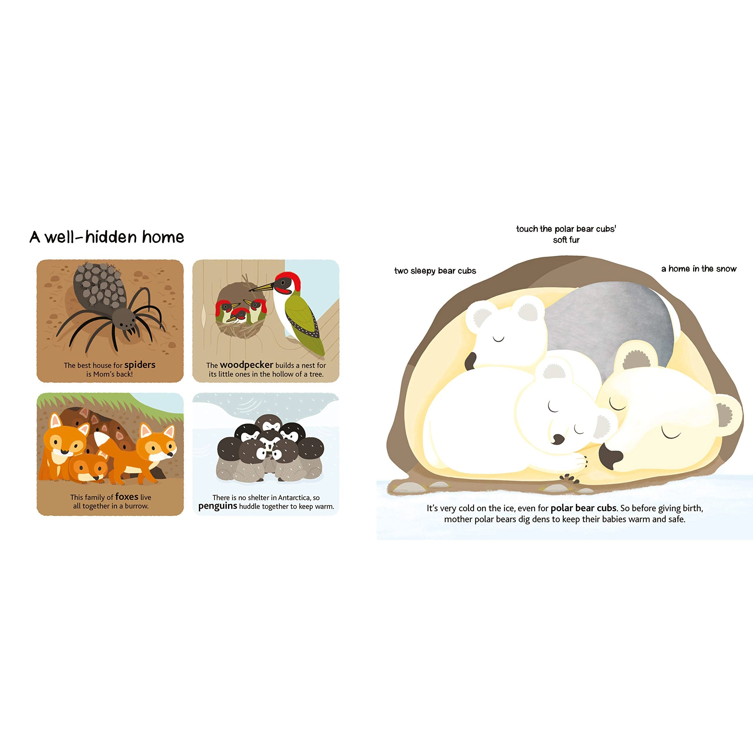 Baby Animals: Touch and Explore