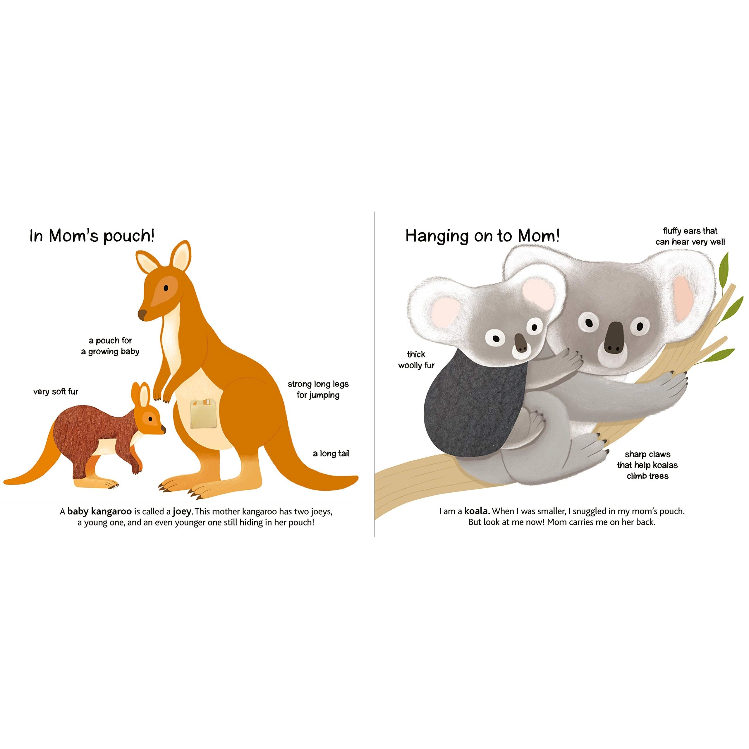 Baby Animals: Touch and Explore