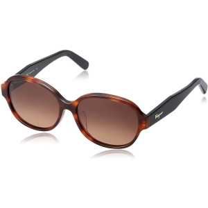 Salvatore Ferragamo Women's Sunglasses - Tortoise | SALVATORE FERRAGAMO SF885SA 214