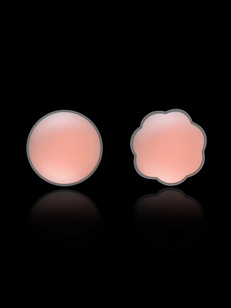 Women's Invisible Silicone Nipple Pasties with Travel Case