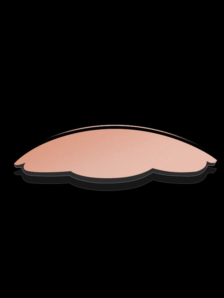 Women's Invisible Silicone Nipple Pasties with Travel Case